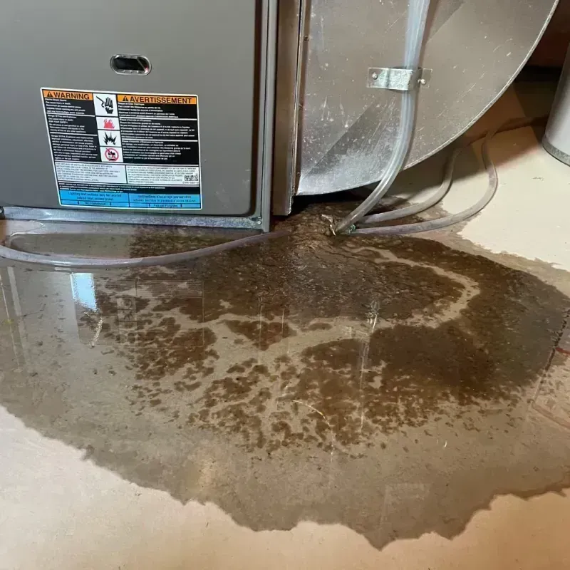 Appliance Leak Cleanup in Ottumwa, IA